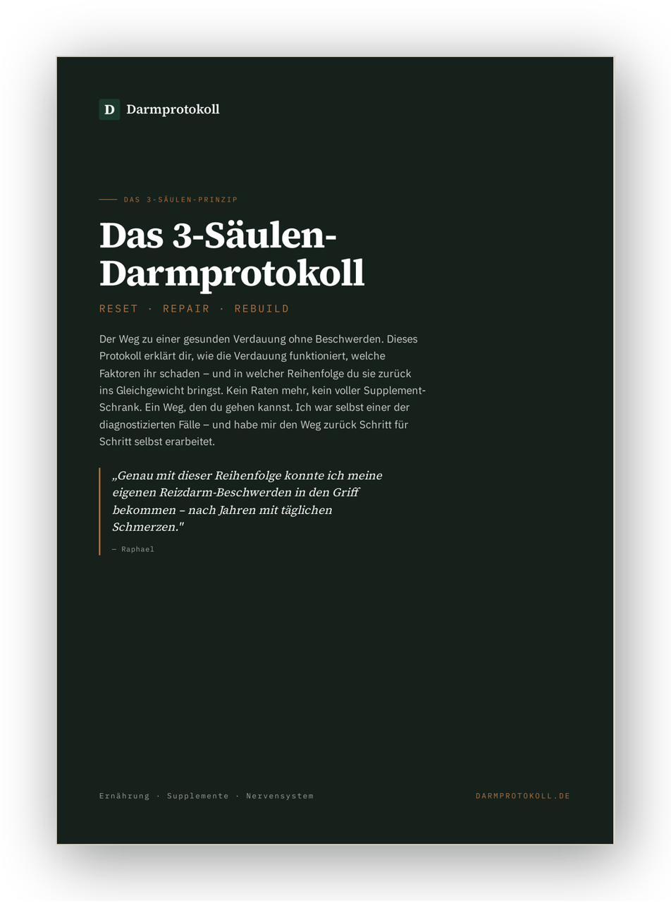 Titelseite des 3-Säulen-Darmprotokolls als PDF